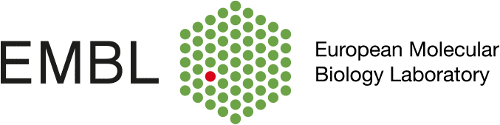 Logo EMBL Heidelberg